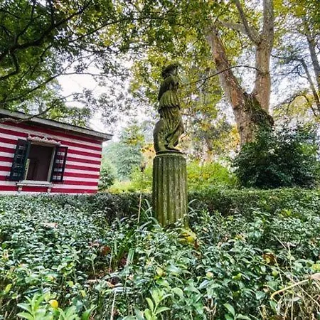 Apartment Apto Ramon Y Cajal,1- Centrico Y Cerca De Playa San Lorenzo-3hab Garaje Opc